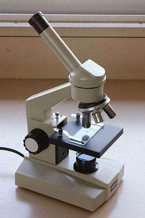 子供の感性を生かす教育を行う学校