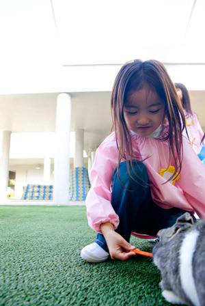 【最新】ナビ個別指導学院岸和田校の特徴とメリット|定評のある学習塾で成績アップを実現